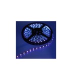 Banda LED UV Ultravioleta IP65 12V SMD3528 60 LED/m cu Adeziv-Lungime 4 Metri