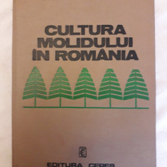 Cultura molidului in Romania - Ion Vlad / R1S