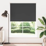 Jaluzea opacă rulabilă, 160 x 230 cm, negru, vidaXL