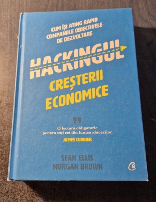 Hackingul cresterii economice Sean Ellis Morgan Brown foto