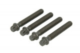 Crankshaft fixing bolts set/kit fits: BMW 1 (E81). 1 (E82). 1 (E88). 3 (E90). 3 (E91). 3 (E92). 3 (E93). 5 (E60). 5 (E61). X1 (E84). X3 (E83); MINI (R