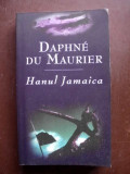 Hanul Jamaica-Daphne du Maurier, Rao