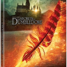 Animale Fantastice: Secretele lui Dumbledore / Fantastic Beasts: The Secrets of Dumbledore (Blu-ray Steelbook Feather) | David Yates