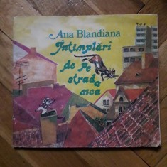 Ana Blandiana - Intamplari de pe strada mea (Ion Creanga, 1988, ilustratii: Doina Botez) intimplari carte pentru copii grafica color lumea copilariei