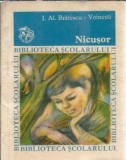 Nicusor - Ioan Alexandru Bratescu Voinesti