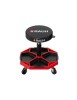 Scaun Mecanic Auto RAUH