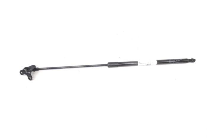 Amortizor haion st&acirc;nga BMW i3 I01 2018 OEM: 7296775 15272064