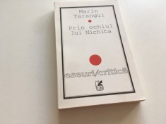 MARIN TARANGUL, PRIN OCHIUL LUI NICHITA. TEZA SA DE DOCTORAT PARIS 1987