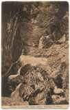 Carte poștală - Rom&acirc;nia - 1909 - Poteca și cascada după matca Bistriței (Vălcea), Circulata, Fotografie