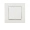Intrerupator St Dublu 10A