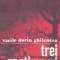 Trei anotimpuri - Roman