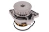 HEPU P541 Pompă de apă, răcire motor