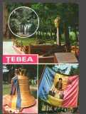 CPIB 17777 CARTE POSTALA - TEBEA, MOZAIC. GORUNUL, CLOPOTUL, DRAPEL
