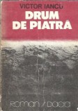 Cumpara ieftin Drum de piatra Victor Iancu carte literatura romana editura Dacia 1986 brosata editie veche