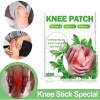 Plasturi Articulatii Genunchi cu Plante, Antidureri, 12 Bucati - Knee Patch