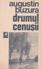 Drumul cenusii foto