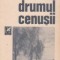 Drumul cenusii