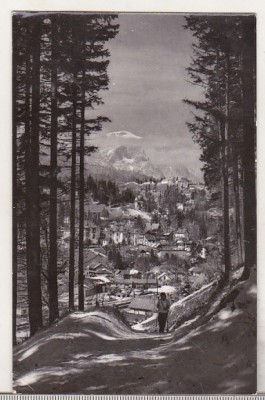 bnk cp Sinaia - Vedere de pe Piscul Cainelui - uzata foto
