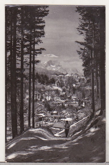 bnk cp Sinaia - Vedere de pe Piscul Cainelui - uzata