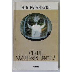 CERUL VAZUT PRIN LENTILA de H.- R. PATAPIEVICI , grafica de DAN PERJOVSCHI , 1998