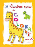 Cumpara ieftin Cartea mea de colorat - Animale |