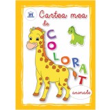 Cartea mea de colorat - Animale |