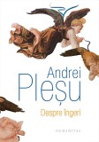 Despre ingeri - Andrei Plesu