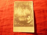 Ilustrata - Fotografie 1924 - Pictura A. Verona - Sub mesteacan , Ed. Cartea Ro
