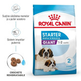 Cumpara ieftin Royal Canin Giant Starter Mother &amp; Babydog, mama si puiul, hrana uscata caine, 15 kg