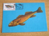 C12 - maxima Romania - tematica pesti 5 - prima zi a emisiunii sau expozitii, Romania de la 1950, Fauna