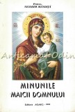 Cumpara ieftin Minunile Maicii Domnului - Nicodim Mandita, Editura Agapis, 2002, 479 pagini