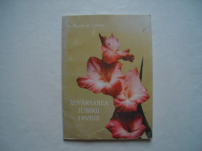 Revarsarea iubirii divine - Sr. Regina M. Collins (romano-catolica) foto