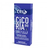 Cicoare Bio in Capsule pentru Expressor 10 bucati X 4.50 grame Salomoni