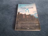 PAVEL CORUT - FULGERUL ALBASTRU