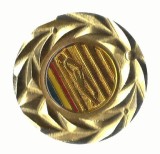 AMS @ - MEDALIA PIONIERI SANIUTA DE ARGINT FINALA PE TARA XV 1969-1983, aluminiu aurit