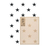 Reutilizabil Allover Plastic Șablon // STELE
