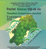 Pachet Tratament VII vita de vie Compactare ciorchini pentru 50 litri de apa, Solarex