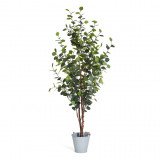 Eucalyptus Artificial Plant 180 cm
