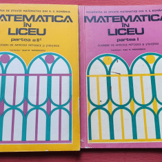 N. Teodorescu - Matematica in liceu. Culegere de articole (2 volume)