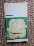 Brancusi: Sarutul de Sidney Geist, 1982. Colectia Meridiane. Carte Istoria Artei