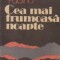 Cea mai frumoasa noapte