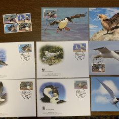 South Georgia - pasari de apa - serie 4 timbre MNH, 4 FDC, 4 maxime, fauna wwf