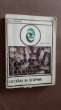 LUCRARI IN STUPINA