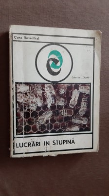 LUCRARI IN STUPINA foto