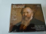 Das gesamte geistliche Werk fur chor und orgel - Brahms,2 cd