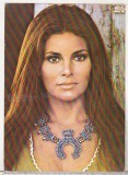Bnk cp Film - Actori - Raquel Welch - carte postala necirculata