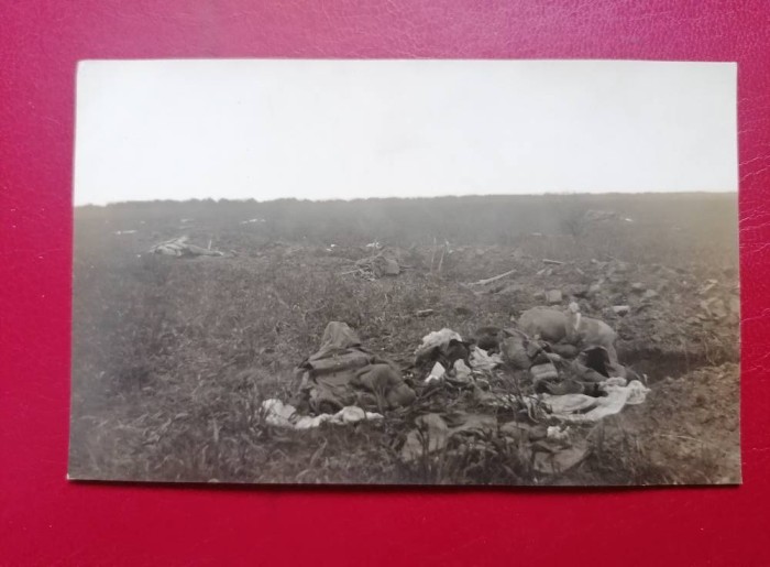Soldati morti pe Campul de lupta de la Targoviste