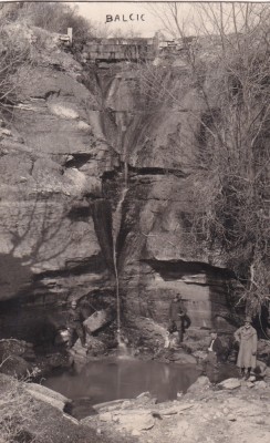 Balcic (necirculata) foto