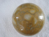 Australian Dendritic Opal10Cm Sphere