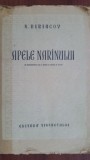 Apele narinului- N. Biriucov